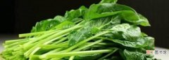叶菜类蔬菜可以放冰箱，绿叶菜能放冰箱保存吗