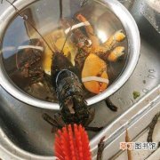 蒸龙虾的做法步骤 清蒸龙虾原汁原味的做法