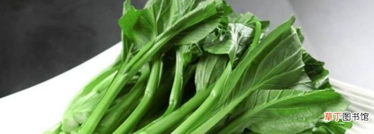 冰箱里蔬菜可以放多久，新鲜绿叶菜可以在冰箱里保存多久