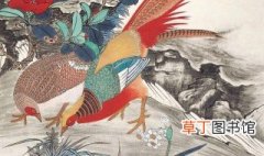 锦鸡的寓意和象征 锦鸡的寓意和象征介绍