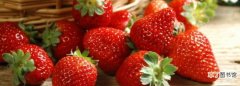 草莓要放冰箱，草莓是不是要放冰箱保存