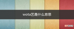 wota艺是什么意思