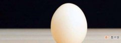 纯白色鸡蛋是什么鸡蛋，纯白色鸡蛋是什么鸡下的