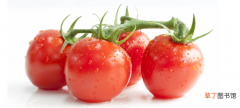 长期生吃西红柿有危害,吃番茄的六大禁忌