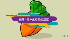 胡萝卜是什么季节的蔬菜 胡萝卜是哪个季节的蔬菜