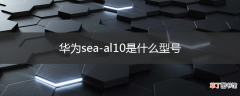 华为sea-al10是什么型号