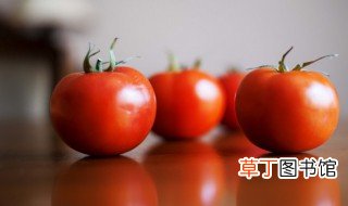 阳台西红柿的种植步骤 种植西红柿的技巧