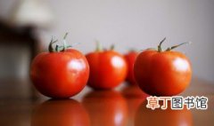 西红柿可以保存多久，西红柿保鲜可以放多久
