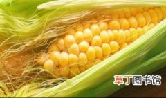 农单113玉米种的特征 用数据告诉你