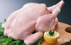 肉鸡肉土鸡肉和蛋鸡肉 吃鸡肉时需要了解的小常识