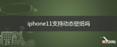 iphone11支持动态壁纸吗