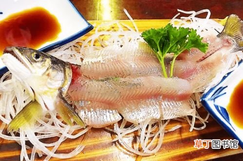 日本香鱼的功效与作用,香鱼是什么鱼？有图就最好了~拜托各位了 3Q