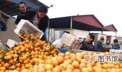 临汾的水果批发市场 临汾最大的水果批发市场在哪