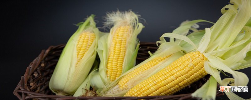 玉米蒸多久能熟 玉米蒸多长时间能熟