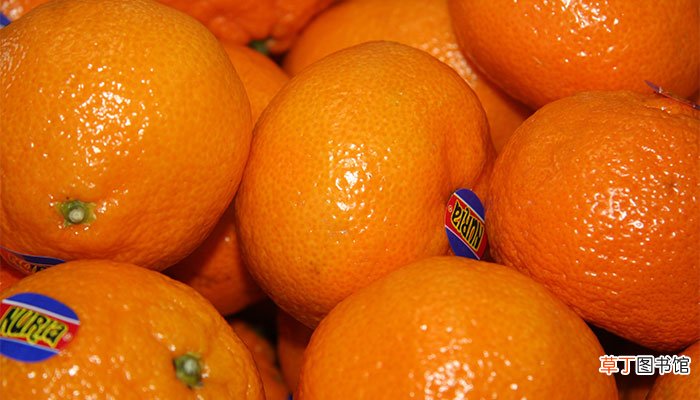 橘子什么时候成熟 橘子成熟期是哪个季节