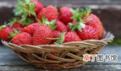 盆栽草莓怎么种植方法 盆栽草莓种植方法有哪些