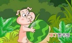 小猪买西瓜的故事 小猪买西瓜的故事告诉我们什么道理