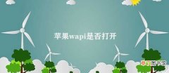 苹果wapi是否打开 苹果WAPI的推广情况