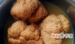 猴头菇泡发方法时间 猴头菇如何泡发