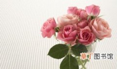 送人粉玫瑰代表的意思是什么 送人粉玫瑰代表的含义