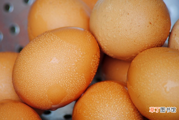 鸡蛋属于荤菜还是素菜 不能和鸡蛋一起食用的食物