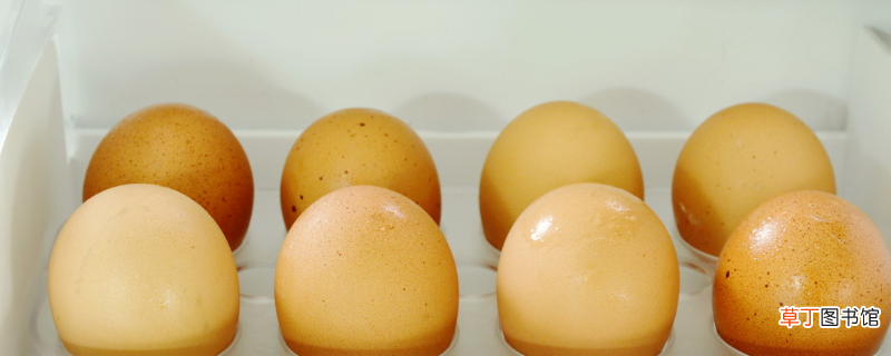 鸡蛋属于荤菜还是素菜 不能和鸡蛋一起食用的食物
