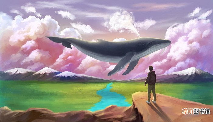 殉情的抹香鲸是什么意思 殉情的抹香鲸介绍