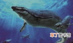 古代对鲸鱼的雅称 中国古代把鲸鱼叫做什么