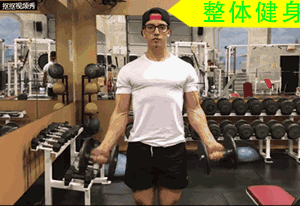 如何锻炼前臂 握力棒锻炼哪里的肌肉图解