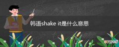 韩语shake it是什么意思