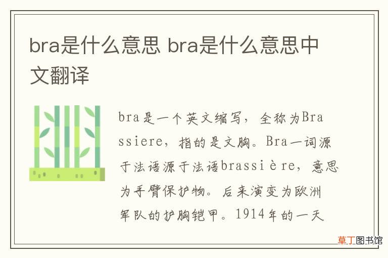 bra是什么意思 bra是什么意思中文翻译