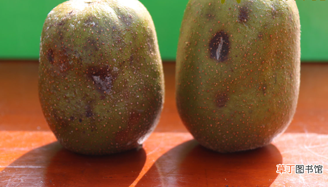 水果王是什么水果 为什么突然大家都不喜欢猕猴桃了