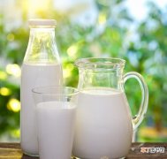 全脂牛奶和低脂牛奶哪个好减肥 两者之间有什么区别