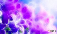 紫色代表什么 紫色性格高贵感性具有艺术气质