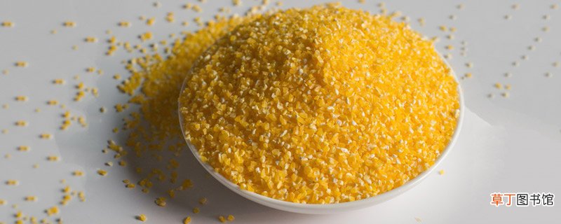 玉米发酵饵料制作方法 如何用玉米来制作饵料