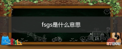 fsgs是什么意思