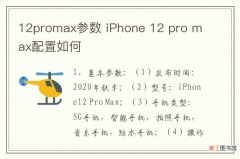 12promax参数 iPhone 12 pro max配置如何