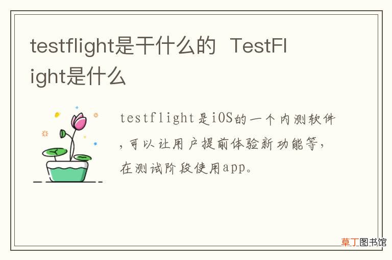 testflight是干什么的TestFlight是什么