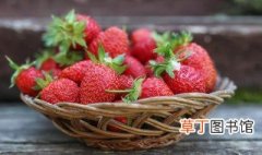 在家种草莓的方法与技巧 家庭种植草莓的技巧