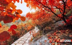 2022北京香山公园赏红叶游玩攻略 附最佳一日游路线