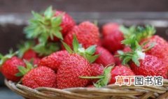 盆栽草莓怎么施肥 盆栽草莓如何施肥
