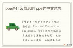 ppe是什么意思啊 ppe的中文意思