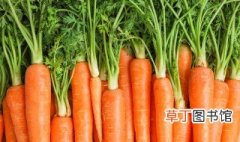 胡萝卜富含胡萝卜素怎么吃更好吸收