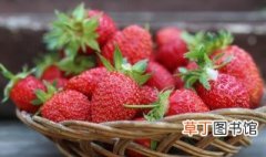 大棚草莓怎么种植 大棚草莓如何种植