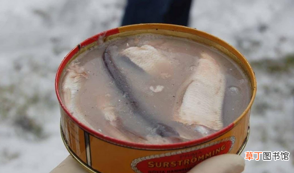 鲱鱼罐头什么味道，鲱鱼罐头是什么样的臭味