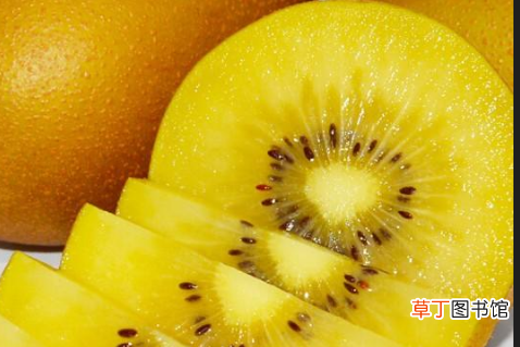 金果是啥水果图片，金果和猕猴桃的区别
