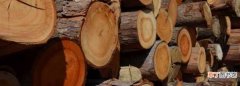 木材属于什么材料