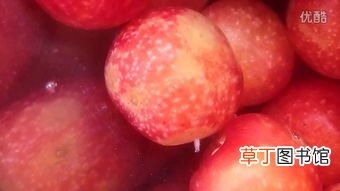 樱桃泡出来虫还能吃吗,樱桃用水泡过之后就有虫子爬出来， 这样的樱桃还能吃吗？