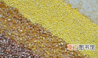 小米和小黄米有什么区别 小米和小黄米的区别介绍