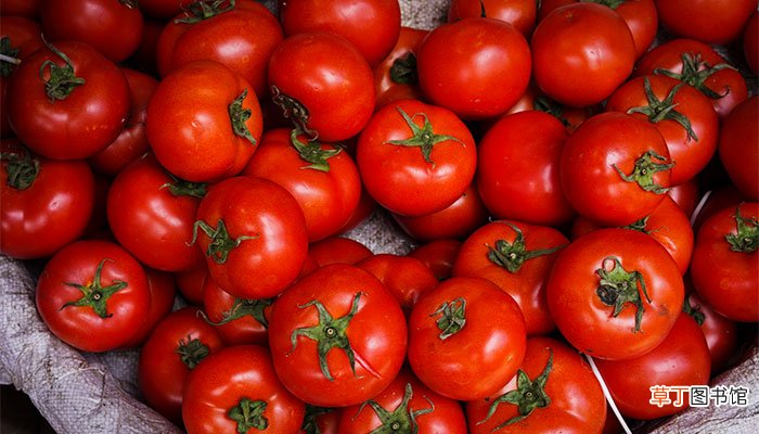 西红柿吃多了会怎么样 吃西红柿过多的危害